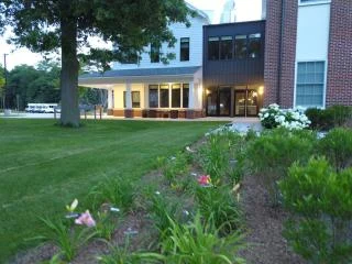 Daylilies in the foreground with the Senior Center behind
